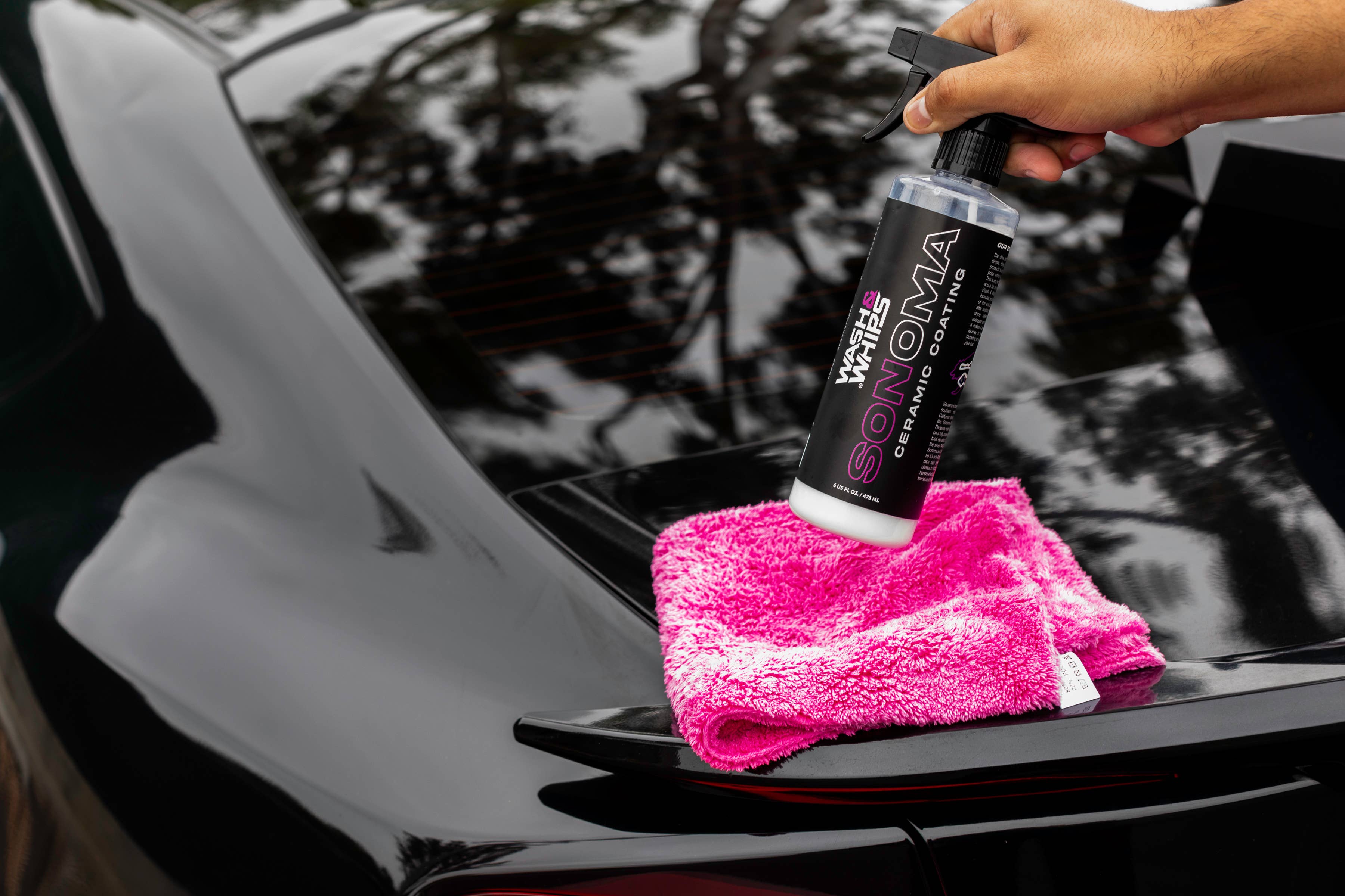WASH&WHIPS SEAL - Exterior Seal & Shine Kit (Step 3)